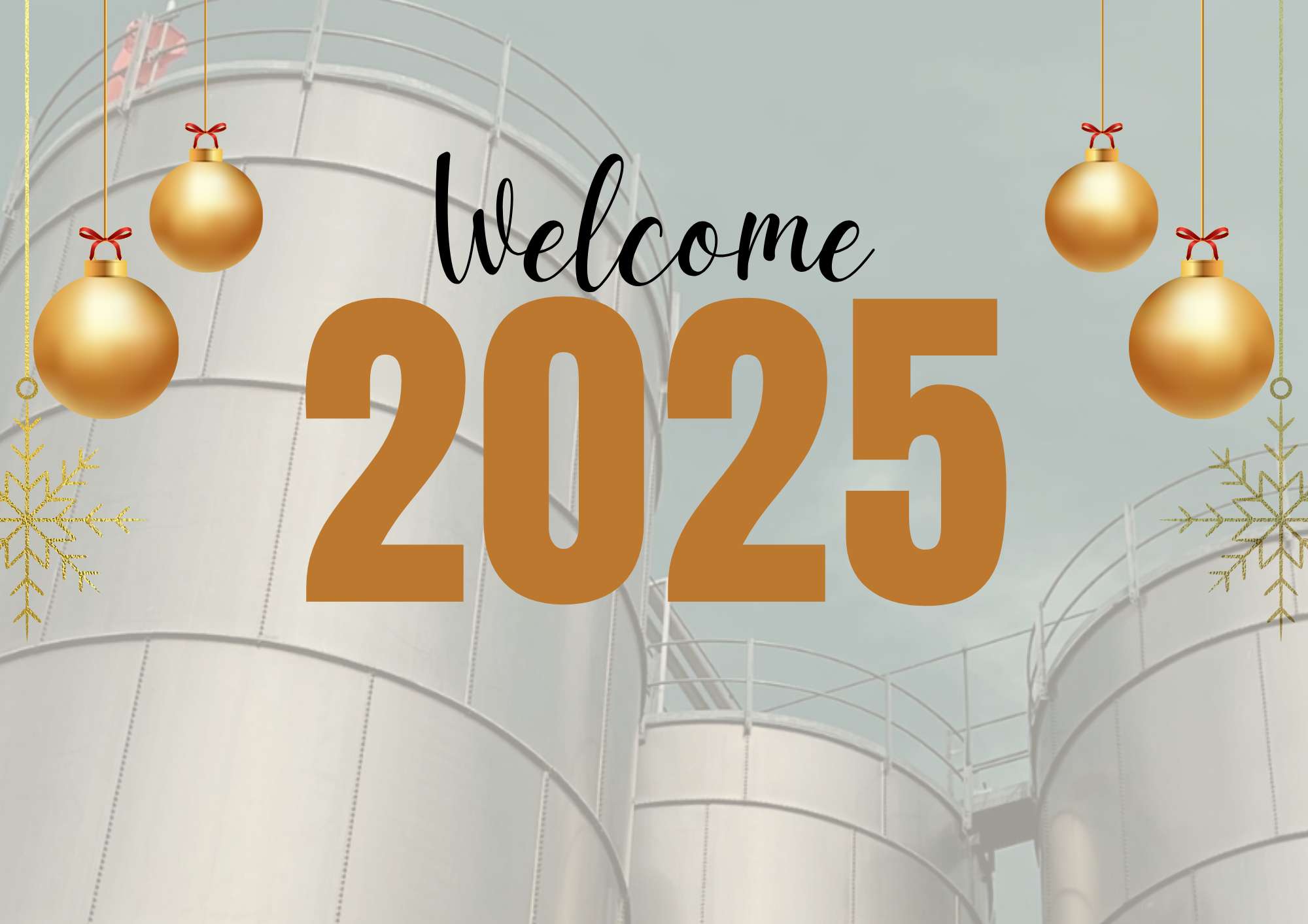 Welcome to the Year 2025: New Goals and Opportunities